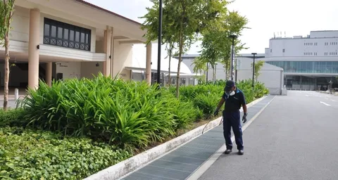 Pest Control for Garden