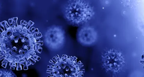 Disinfection Solutions