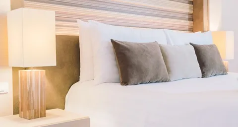 Pest Control for Resorts and Hotels